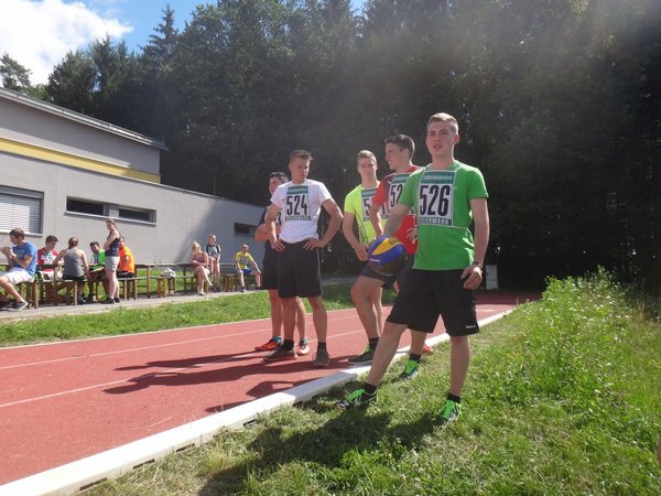 Bezirkssommerspiele 2017