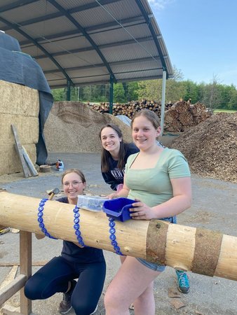 Maibaumaufstellen 2025