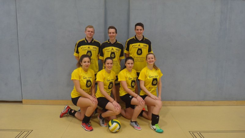 Volleyballturnier 2017